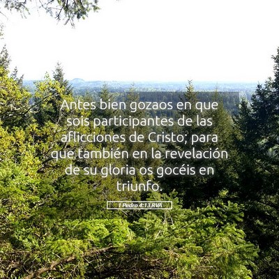 Picture 05 - 1 Pedro 4:13 RVA - Antes bien gozaos en que sois participantes de - Bible Verse Picture