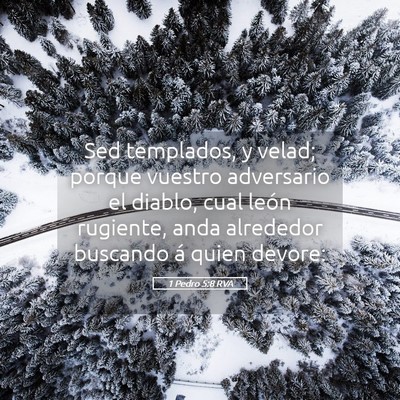 Picture 05 - 1 Pedro 5:8 RVA - Sed templados, y velad; porque vuestro adversario - Bible Verse Picture