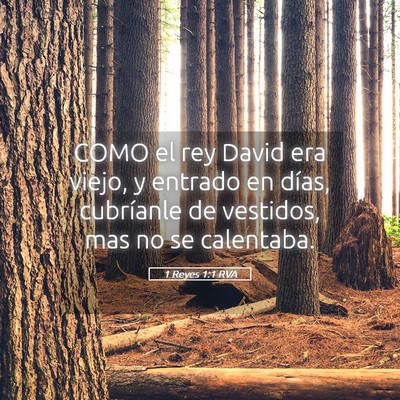 Picture 05 - 1 Reyes 1:1 RVA - COMO el rey David era viejo, y entrado en días, - Bible Verse Picture