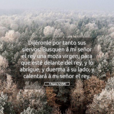 Picture 05 - 1 Reyes 1:2 RVA - Dijéronle por tanto sus siervos: Busquen á mi - Bible Verse Picture