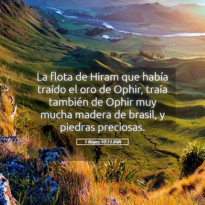 Picture 05 - 1 Reyes 10:11 RVA - La flota de Hiram que había traído el oro de - Bible Verse Picture