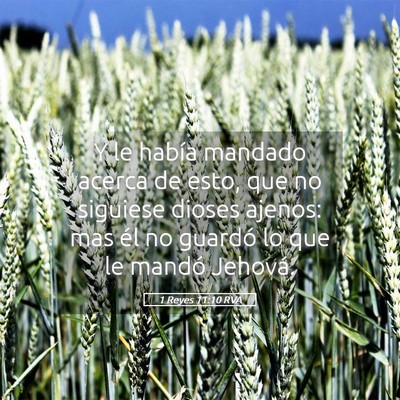 Picture 05 - 1 Reyes 11:10 RVA - Y le había mandado acerca de esto, que no - Bible Verse Picture