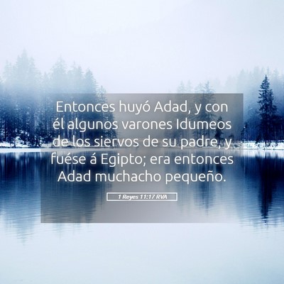 Picture 05 - 1 Reyes 11:17 RVA - Entonces huyó Adad, y con él algunos varones - Bible Verse Picture