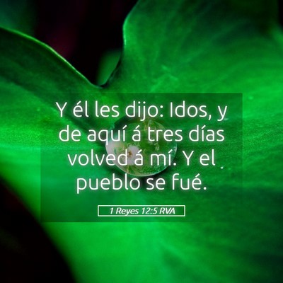 Picture 05 - 1 Reyes 12:5 RVA - Y él les dijo: Idos, y de aquí á tres días - Bible Verse Picture