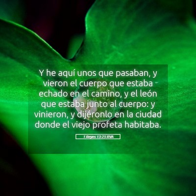 Picture 05 - 1 Reyes 13:25 RVA - Y he aquí unos que pasaban, y vieron el cuerpo - Bible Verse Picture