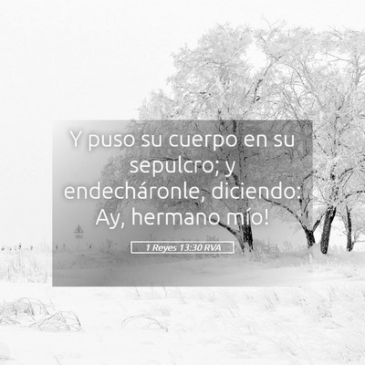 Picture 05 - 1 Reyes 13:30 RVA - Y puso su cuerpo en su sepulcro; y endecháronle, - Bible Verse Picture