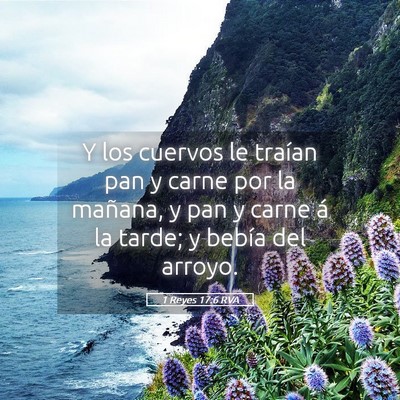 Picture 05 - 1 Reyes 17:6 RVA - Y los cuervos le traían pan y carne por la - Bible Verse Picture