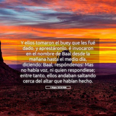 Picture 05 - 1 Reyes 18:26 RVA - Y ellos tomaron el buey que les fué dado, y - Bible Verse Picture