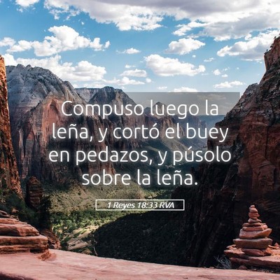 Picture 05 - 1 Reyes 18:33 RVA - Compuso luego la leña, y cortó el buey en - Bible Verse Picture