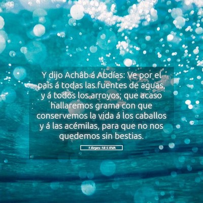 Picture 05 - 1 Reyes 18:5 RVA - Y dijo Achâb á Abdías: Ve por el país á - Bible Verse Picture