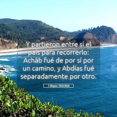 Picture 05 - 1 Reyes 18:6 RVA - Y partieron entre sí el país para recorrerlo: - Bible Verse Picture