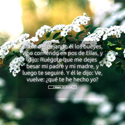Picture 05 - 1 Reyes 19:20 RVA - Entonces dejando él los bueyes, vino corriendo - Bible Verse Picture