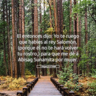 Picture 05 - 1 Reyes 2:17 RVA - El entonces dijo: Yo te ruego que hables al rey - Bible Verse Picture