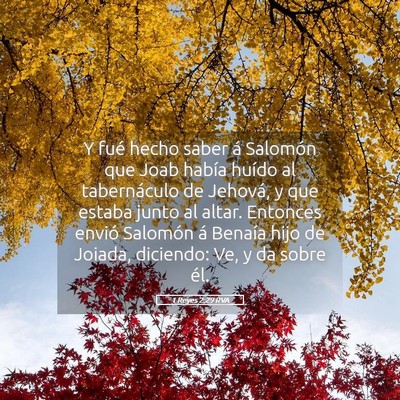 Picture 05 - 1 Reyes 2:29 RVA - Y fué hecho saber á Salomón que Joab había - Bible Verse Picture