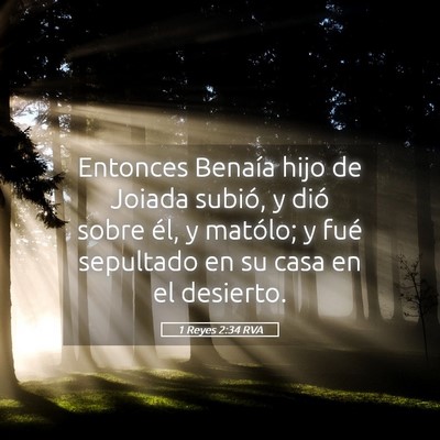 Picture 05 - 1 Reyes 2:34 RVA - Entonces Benaía hijo de Joiada subió, y dió - Bible Verse Picture