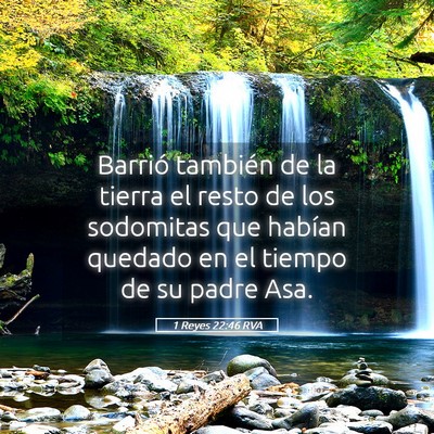 Picture 05 - 1 Reyes 22:46 RVA - Barrió también de la tierra el resto de los - Bible Verse Picture