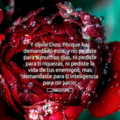 Picture 05 - 1 Reyes 3:11 RVA - Y díjole Dios: Porque has demandado esto, y no - Bible Verse Picture