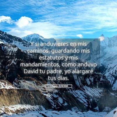 Picture 05 - 1 Reyes 3:14 RVA - Y si anduvieres en mis caminos, guardando mis - Bible Verse Picture