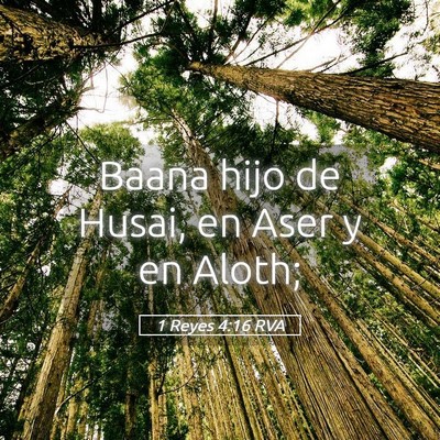 Picture 05 - 1 Reyes 4:16 RVA - Baana hijo de Husai, en Aser y en - Bible Verse Picture