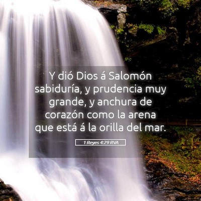 Picture 05 - 1 Reyes 4:29 RVA - Y dió Dios á Salomón sabiduría, y prudencia - Bible Verse Picture