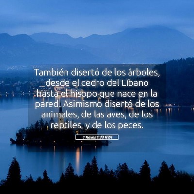 Picture 05 - 1 Reyes 4:33 RVA - También disertó de los árboles, desde el cedro - Bible Verse Picture