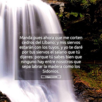 Picture 05 - 1 Reyes 5:6 RVA - Manda pues ahora que me corten cedros del - Bible Verse Picture
