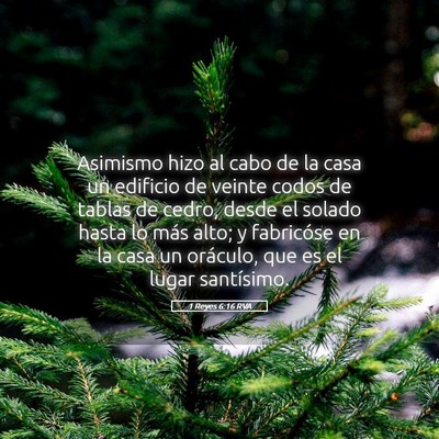 Picture 05 - 1 Reyes 6:16 RVA - Asimismo hizo al cabo de la casa un edificio de - Bible Verse Picture