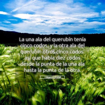 Picture 05 - 1 Reyes 6:24 RVA - La una ala del querubín tenía cinco codos, y la - Bible Verse Picture