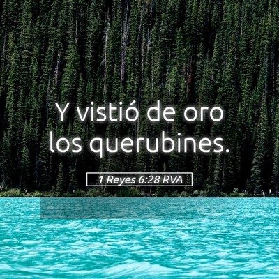Picture 05 - 1 Reyes 6:28 RVA - Y vistió de oro los - Bible Verse Picture