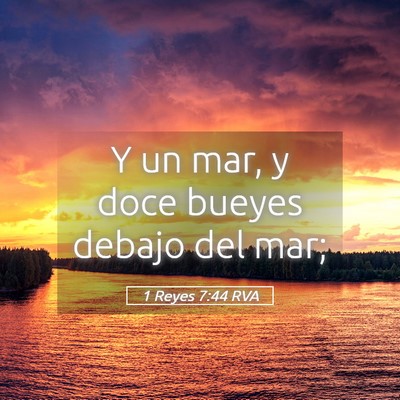 Picture 05 - 1 Reyes 7:44 RVA - Y un mar, y doce bueyes debajo del - Bible Verse Picture