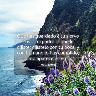 Picture 05 - 1 Reyes 8:24 RVA - Que has guardado á tu siervo David mi padre lo - Bible Verse Picture