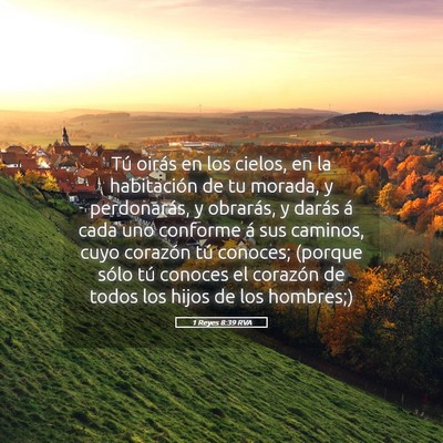 Picture 05 - 1 Reyes 8:39 RVA - Tú oirás en los cielos, en la habitación de tu - Bible Verse Picture