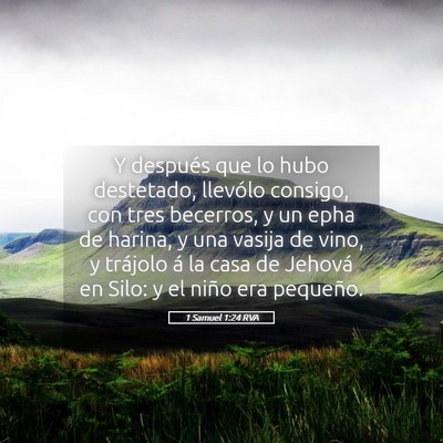 Picture 05 - 1 Samuel 1:24 RVA - Y después que lo hubo destetado, llevólo - Bible Verse Picture