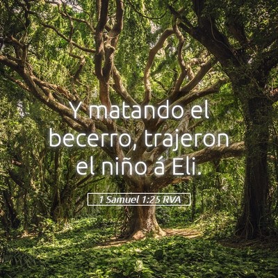 Picture 05 - 1 Samuel 1:25 RVA - Y matando el becerro, trajeron el niño á - Bible Verse Picture