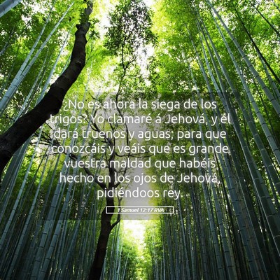 Picture 05 - 1 Samuel 12:17 RVA - ¿No es ahora la siega de los trigos? Yo clamaré - Bible Verse Picture