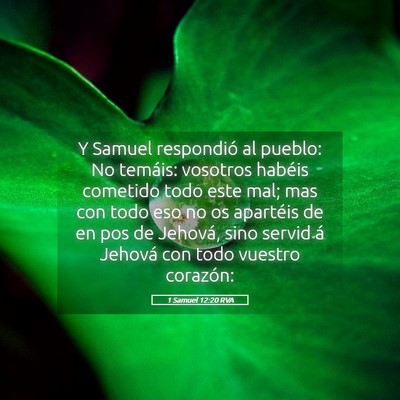 Picture 05 - 1 Samuel 12:20 RVA - Y Samuel respondió al pueblo: No temáis: - Bible Verse Picture