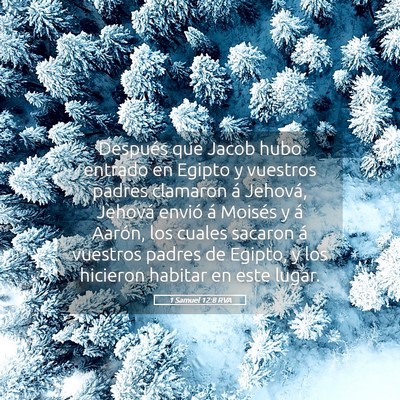 Picture 05 - 1 Samuel 12:8 RVA - Después que Jacob hubo entrado en Egipto y - Bible Verse Picture