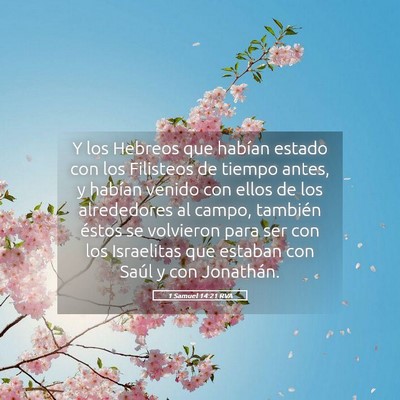 Picture 05 - 1 Samuel 14:21 RVA - Y los Hebreos que habían estado con los - Bible Verse Picture