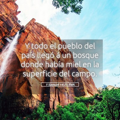 Picture 05 - 1 Samuel 14:25 RVA - Y todo el pueblo del país llegó á un bosque - Bible Verse Picture