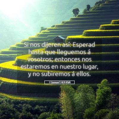 Picture 05 - 1 Samuel 14:9 RVA - Si nos dijeren así: Esperad hasta que lleguemos - Bible Verse Picture