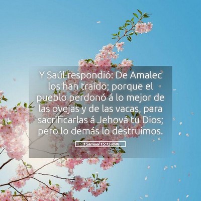 Picture 05 - 1 Samuel 15:15 RVA - Y Saúl respondió: De Amalec los han traído; - Bible Verse Picture