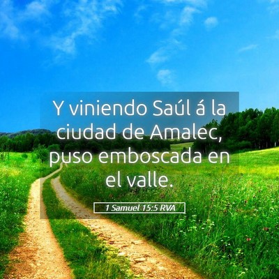 Picture 05 - 1 Samuel 15:5 RVA - Y viniendo Saúl á la ciudad de Amalec, puso - Bible Verse Picture