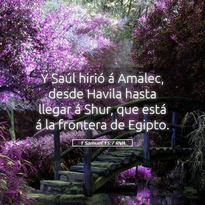 Picture 05 - 1 Samuel 15:7 RVA - Y Saúl hirió á Amalec, desde Havila hasta - Bible Verse Picture