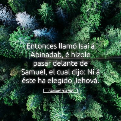 Picture 05 - 1 Samuel 16:8 RVA - Entonces llamó Isaí á Abinadab, é hízole - Bible Verse Picture
