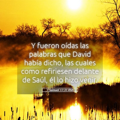 Picture 05 - 1 Samuel 17:31 RVA - Y fueron oídas las palabras que David había - Bible Verse Picture