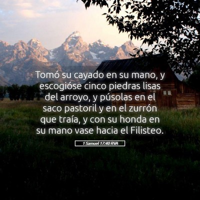 Picture 05 - 1 Samuel 17:40 RVA - Tomó su cayado en su mano, y escogióse cinco - Bible Verse Picture