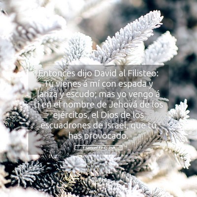 Picture 05 - 1 Samuel 17:45 RVA - Entonces dijo David al Filisteo: Tú vienes á - Bible Verse Picture