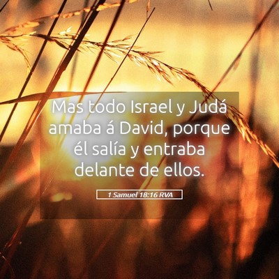 Picture 05 - 1 Samuel 18:16 RVA - Mas todo Israel y Judá amaba á David, porque - Bible Verse Picture