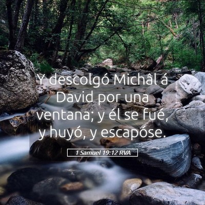 Picture 05 - 1 Samuel 19:12 RVA - Y descolgó Michâl á David por una ventana; y - Bible Verse Picture