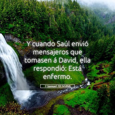 Picture 05 - 1 Samuel 19:14 RVA - Y cuando Saúl envió mensajeros que tomasen á - Bible Verse Picture